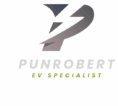 TESLA REPAIR BRAND PUNROBERT